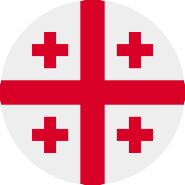 Georgia flag