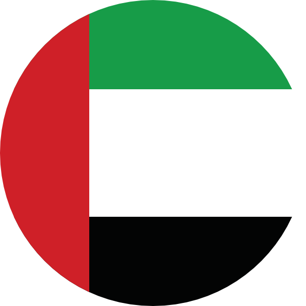 United Arab Emirates flag